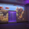 Проекционный дизайн "Виртуальная реальность" базовый комплект 500 анимаций - «globural.ru» - Междуреченск