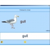 Английский язык. Освоение клавиатуры - «globural.ru» - Междуреченск