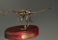 Модель скелета динозавра Velociraptor - «globural.ru» - Междуреченск
