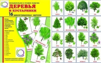 Демонстрационные карточки "Деревья и кустарники" - «globural.ru» - Междуреченск