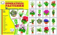 Демонстрационные карточки "Комнатные растения" - «globural.ru» - Междуреченск