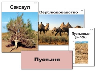 Модель-аппликация "Природные зоны России" - «globural.ru» - Междуреченск