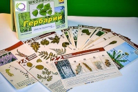Гербарий к курсу основ общей биологии - «globural.ru» - Междуреченск