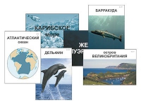 Модель-аппликация "Океаны. Знакомство" (ламинированная) - «globural.ru» - Междуреченск