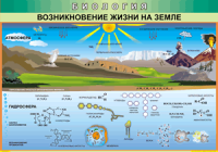 Таблица Возникновение жизни на Земле 1000*1400 винил - «globural.ru» - Междуреченск