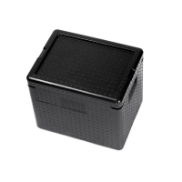 Изотермический контейнер для транспортировки рыбы - «globural.ru» - Междуреченск