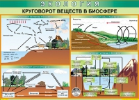Таблица Круговорот веществ в биосфере 1000*700 винил - «globural.ru» - Междуреченск
