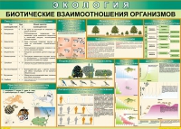 Таблица Биотические взаимоотношения организмов 1000*700 (винил) - «globural.ru» - Междуреченск