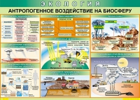 Таблица Антропогенное воздействие на биосферу 1000*700 винил - «globural.ru» - Междуреченск