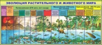 Стенд "Эволюция растительного и животного мира" - «globural.ru» - Междуреченск