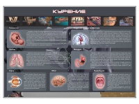 Стенд "Курение" (вариант 1) - «globural.ru» - Междуреченск