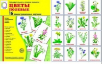 Демонстрационные карточки "Цветы полевые" - «globural.ru» - Междуреченск