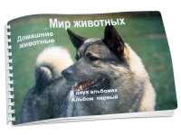 Пособие для слабовидящих "Домашние животные" - «globural.ru» - Междуреченск