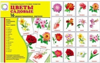 Демонстрационные карточки "Цветы садовые" - «globural.ru» - Междуреченск