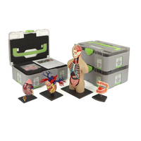 Учебный набор "Анатомия в деталях" - «globural.ru» - Междуреченск