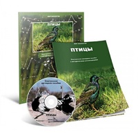 Электронное наглядное пособие «Птицы» - «globural.ru» - Междуреченск