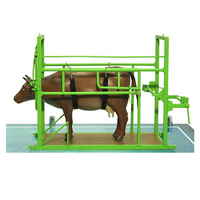 Наглядный макет «Методы и устройства для фиксации КРС» - «globural.ru» - Междуреченск