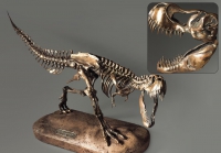 Модель скелета динозавра Tyrannosaurus - «globural.ru» - Междуреченск