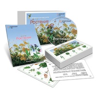Комбинированное наглядное пособие «Растения» - «globural.ru» - Междуреченск