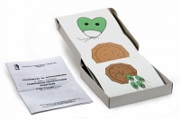 Модель-аппликация Размножение одноклеточной водоросли (набор из 11 карт) - «globural.ru» - Междуреченск