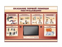 Многофункциональный интерактивный стенд-тренажер "Оказание первой помощи пострадавшим" для учащихся общеобразовательных учреждений - «globural.ru» - Междуреченск
