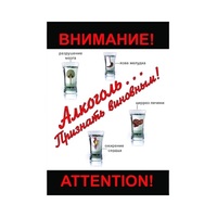 DVD Алкоголь. Признать виновным - «globural.ru» - Междуреченск