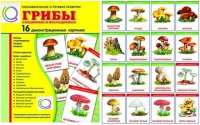 Демонстрационные карточки  "Грибы съедобные и не съедобные" - «globural.ru» - Междуреченск