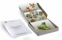 Модель-аппликация Взаимодействия в природных сообществах (набор из 23 карт) - «globural.ru» - Междуреченск