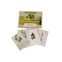 Гербарий "Деревья и кустарники" (22 вида, с иллюстрациями) - «globural.ru» - Междуреченск