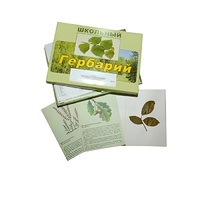Гербарий "Дикорастущие растения" (30 видов, с иллюстрациями) - «globural.ru» - Междуреченск