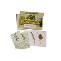 Гербарий "Лекарственные растения" (22 вида, с иллюстрациями) - «globural.ru» - Междуреченск