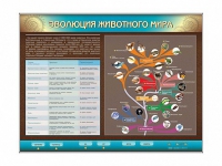 Интерактивный электрифицированный стенд "Эволюция животного мира" - «globural.ru» - Междуреченск