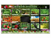Комплект оборудования "Живой уголок" (растения) - «globural.ru» - Междуреченск