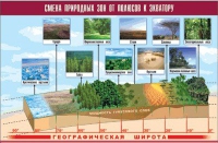 Таблица демонстрационная "Смена природных зон от полюсов к экватору" (винил 70x100) - «globural.ru» - Междуреченск