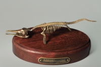 Модель скелета ихтиозавра Ichthyosaurus - «globural.ru» - Междуреченск