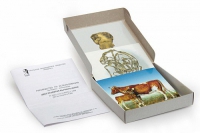 Модель-аппликация Цикл развития бычьего цепня (набор из 7 карт) - «globural.ru» - Междуреченск