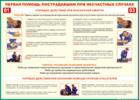 Таблица Порядок действий при внезапной смерти 1000*1400 винил - «globural.ru» - Междуреченск