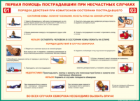 Таблица Порядок действий при коматозном состоянии пострадавшего 1000*1400 винил - «globural.ru» - Междуреченск