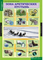 Окружающий мир 4 класс (комплект таблиц) - «globural.ru» - Междуреченск