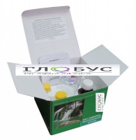 Тест-комплект «Активный хлор» - «globural.ru» - Междуреченск