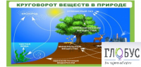 Стенд "Круговорот веществ" - «globural.ru» - Междуреченск