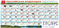 Стенд "Красная книга РФ" - «globural.ru» - Междуреченск