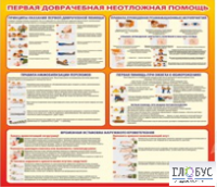 Стенд "Первая доврачебная неотложная помощь" - «globural.ru» - Междуреченск