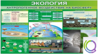 Стенд "Экология. Антропогенное воздействие на биосферу" - «globural.ru» - Междуреченск