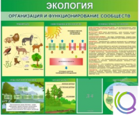 Стенд "Экология. Организация и функционирование сообществ" - «globural.ru» - Междуреченск