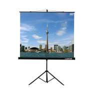 Проекционный экран на штативе Lumien Eco View (LEV-100105) 160x160 см - «globural.ru» - Междуреченск