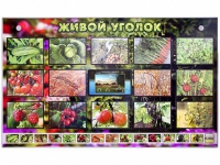 Комплект оборудования "Живой уголок" (растения) с тифлопереводом и сурдокомментариями - «globural.ru» - Междуреченск