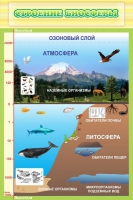 Стенд "Строение биосферы" - «globural.ru» - Междуреченск