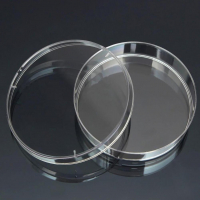 Чашка Петри стеклянная с крышкой 100х20 - «globural.ru» - Междуреченск