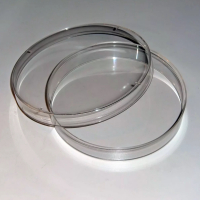 Чашка Петри пластиковая с крышкой  60 мл. - «globural.ru» - Междуреченск